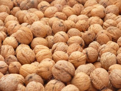 Walnuts