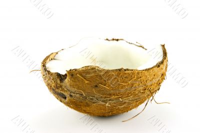 Half a Coconut