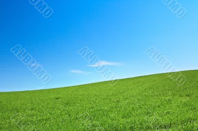 peaceful grassland