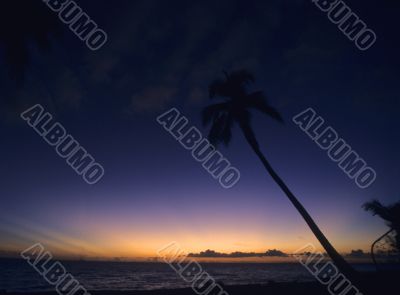 Dark sunset- Bayahibe - Dominican republic