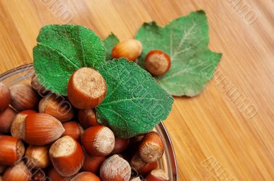 Some hazelnuts in plate