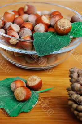 Some hazelnuts on leaf
