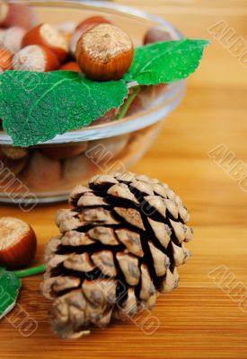 Hazelnuts and cone