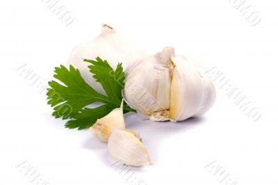 garlics with green parsley