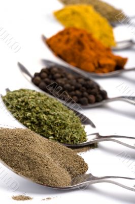 various ground spices