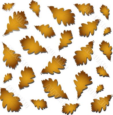 Oak autumn leaves