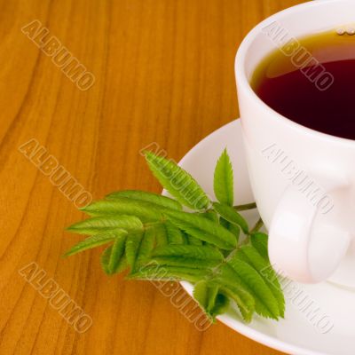 cup of black tea