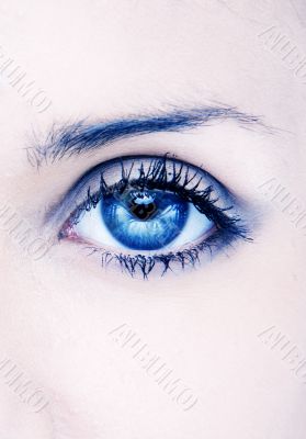 beauty eye