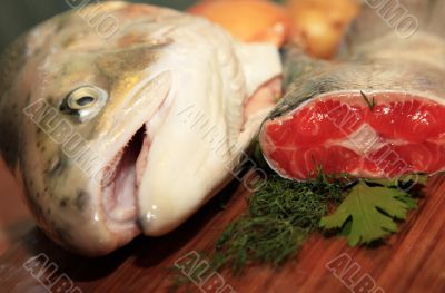 Fresh salmon
