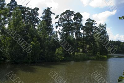 trees reflecing on water under blue sky