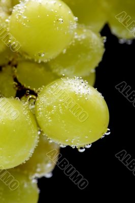 grapes in water on black macro
