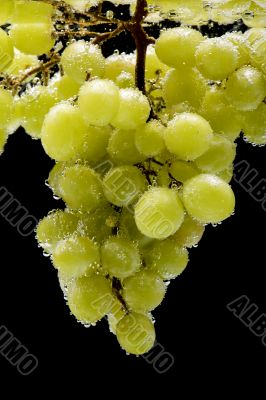 grapes in water on black