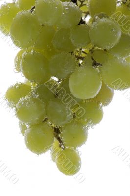 grapes in water on white