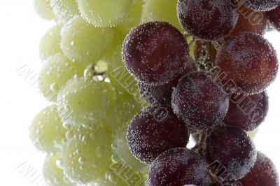 Red and green grapes in water macro