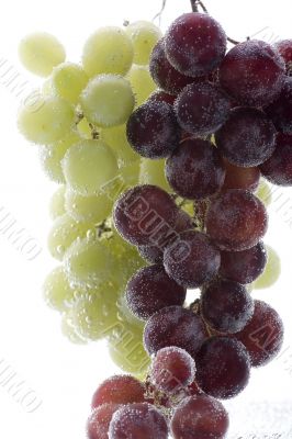 Red and green grapes in water