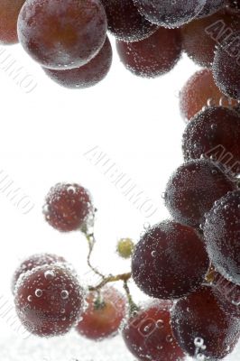 Red grapes on white background