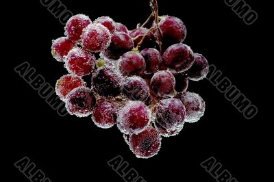 grapes on black background close up