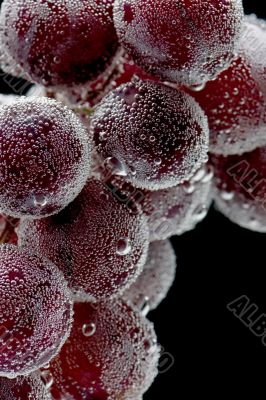 grapes on black background closeup