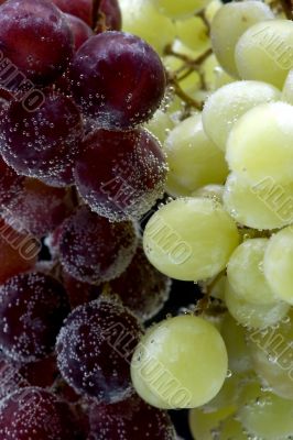 grapes on black closeup
