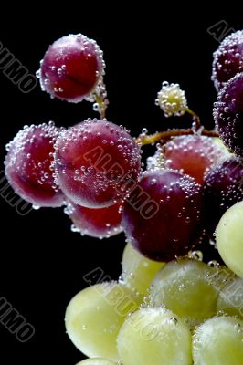 grapes on black closeup