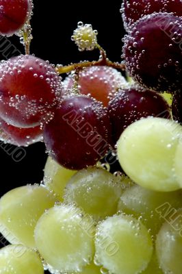 grapes on black macro