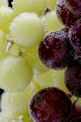 grapes with air bubbles closeup