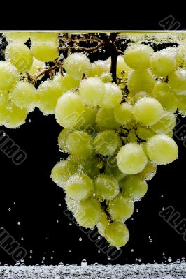 Green grapes with air bubbles