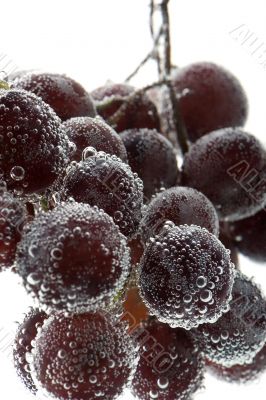 grapes with bubbles closeup