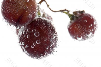 grapes with bubbles macro