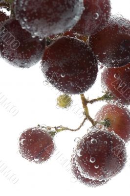 grapes with bubbles