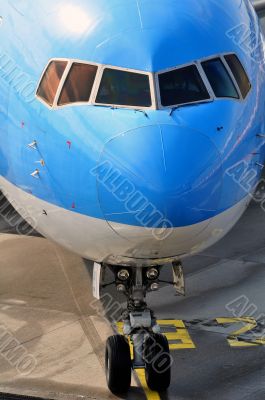 Passenger airplane nose