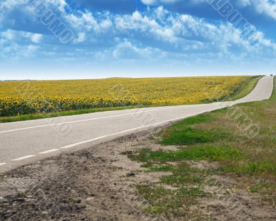 Highway and field