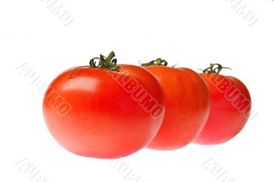 tomatoes