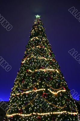 Christmas Tree