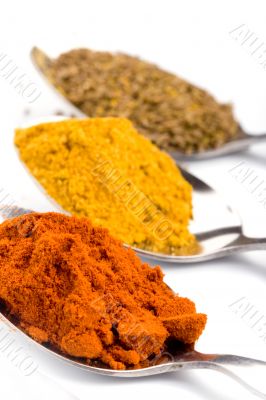 ground spices