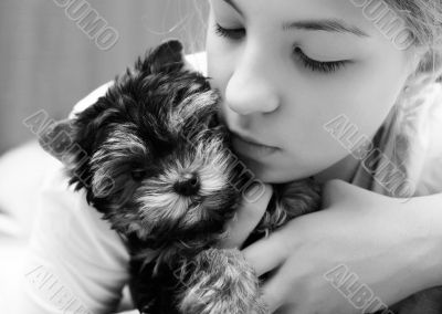 Yorkshire terrier
