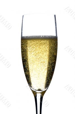 champagne glasses on white macro