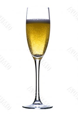 champagne glasses on white