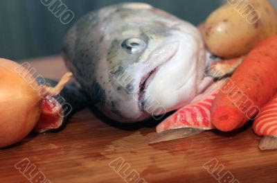 Fresh salmon