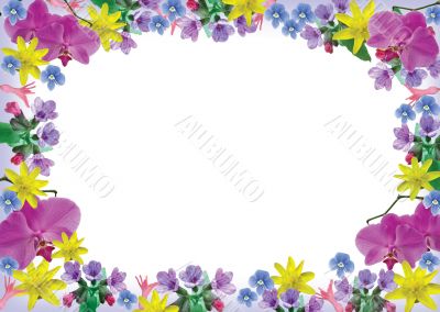 Flower frame