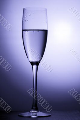 champagne glasses