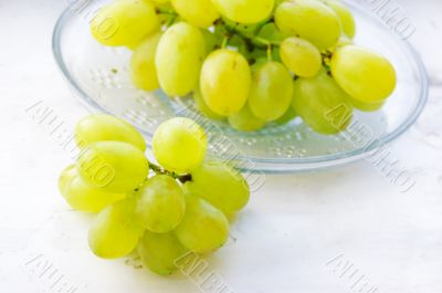 Green ripe grapes in plate