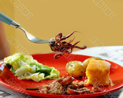 Appetizing squid on fork