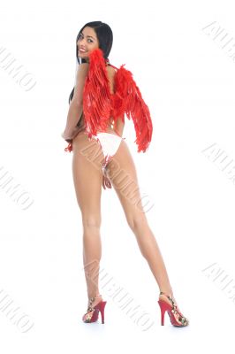 Sexual angel  on insulated background