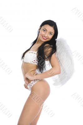 Sexual angel  on insulated background
