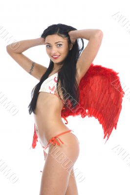 Sexual angel  on insulated background