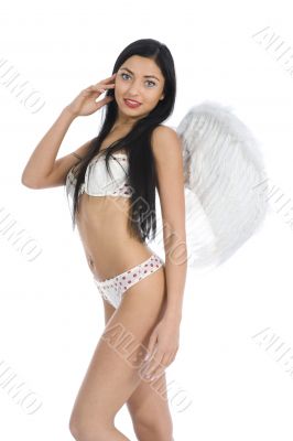 Sexual angel  on insulated background
