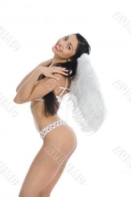 Sexual angel  on insulated background