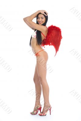Sexual angel  on insulated background