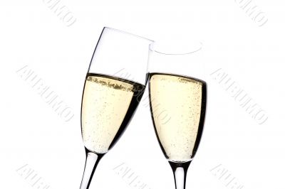 Two glasses champagne on white close up